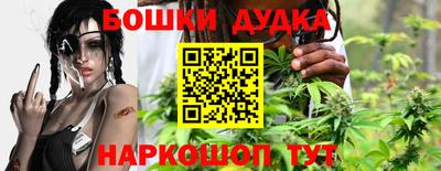 сатива Шебекино