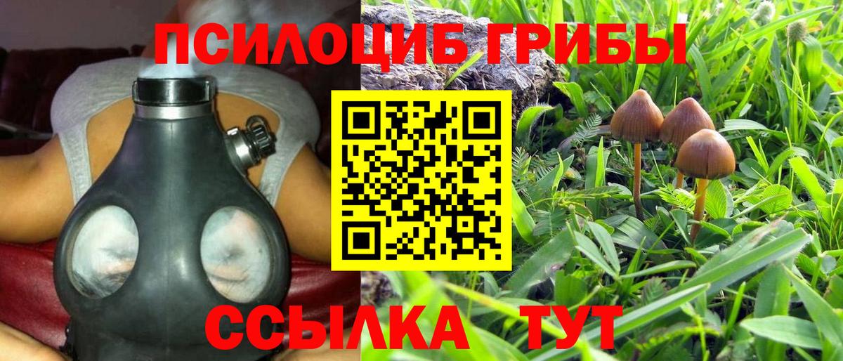 Галлюциногенные грибы прущие грибы Выкса