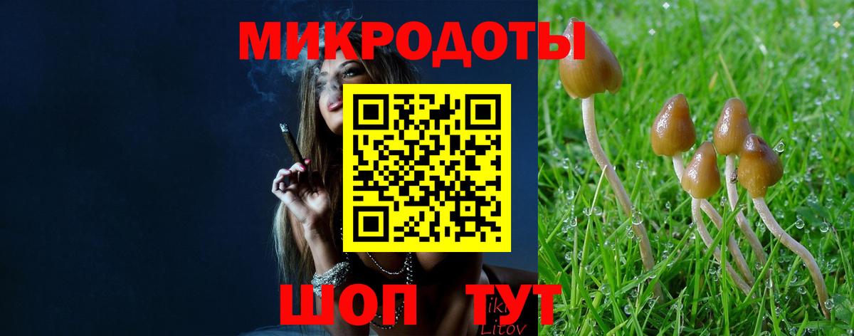 Выкса  Псилоцибиновые грибы GOLDEN TEACHER  Вход с VPN 